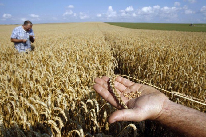 Deficit de apă în solurile agricole din Transilvania, Banat și Dobrogea