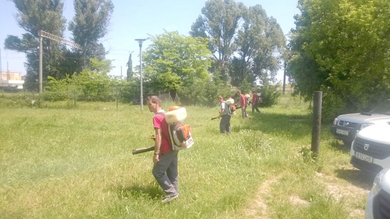 CONSTANȚA: Încep acțiunile de dezinsecție