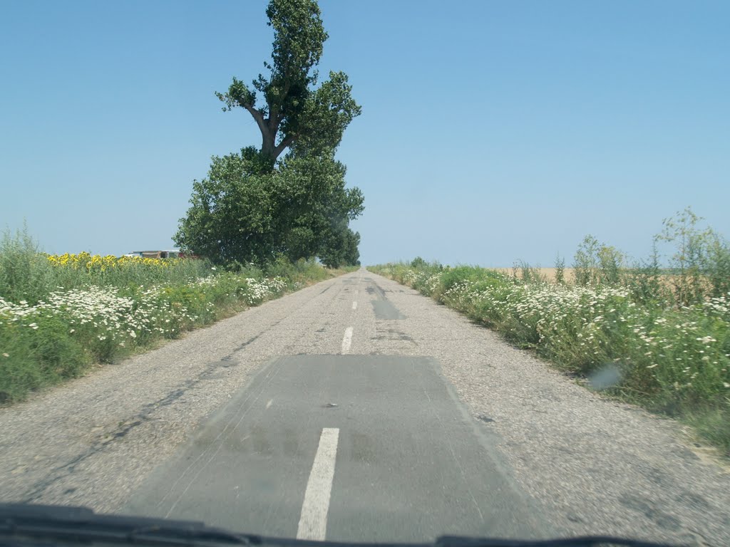 Drumul către cetatea Histria va fi reabilitat vara aceasta