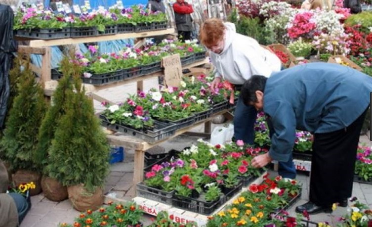Peste 20 de producători de flori din România participă la o expoziție organizată în TULCEA