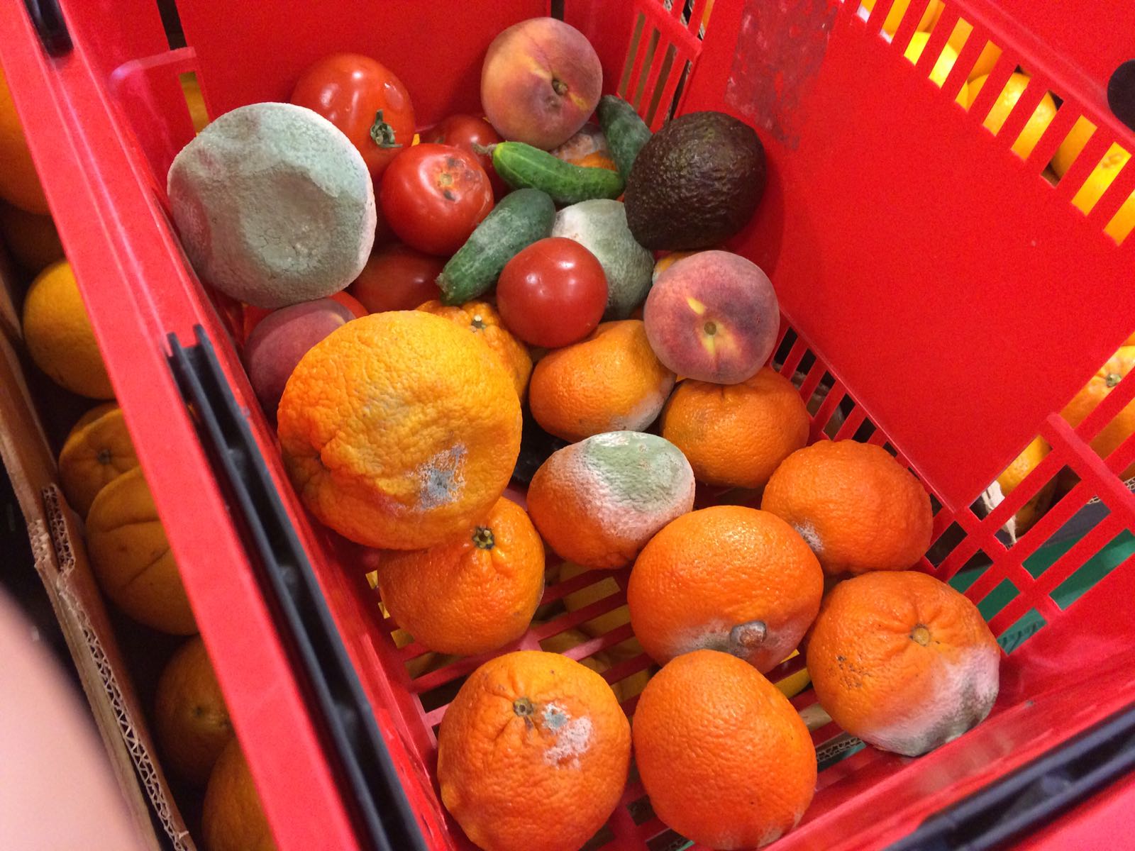 Foto/CONSTANȚA: Fructe mucegăite în hypermarket!