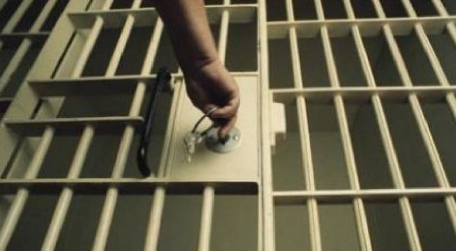 Proiectul legii privind graţierea unor pedepse, din nou în prim plan