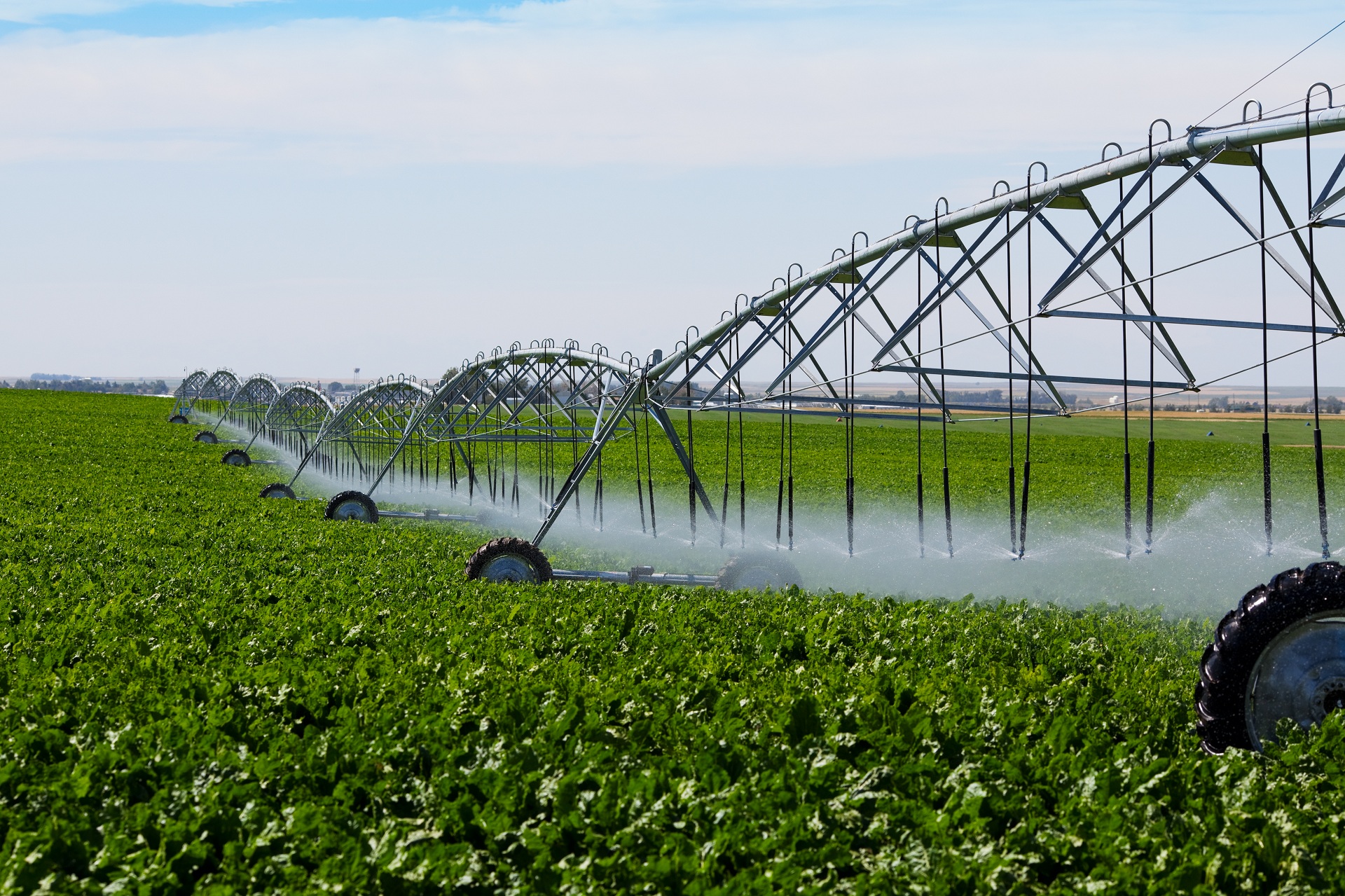 AUDIO/CONSTANȚA: Agricultorii dobrogeni profită din plin de scăderea costurilor cu irigațiile