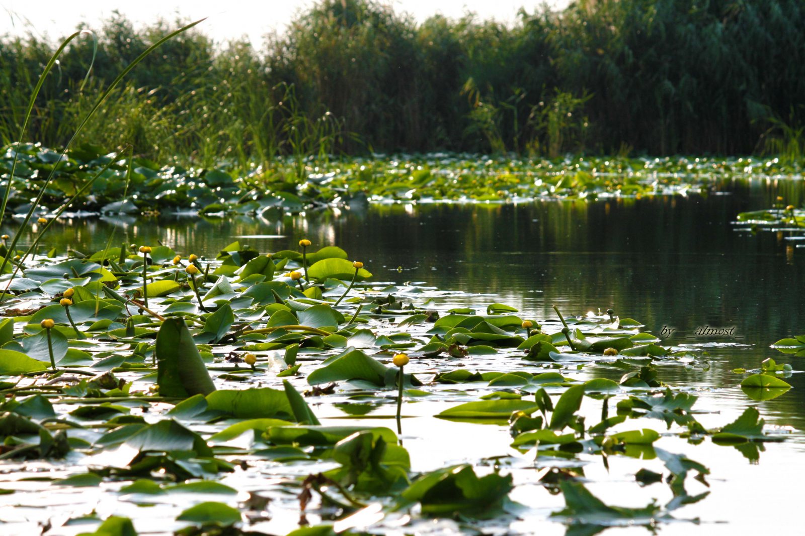Vremea rămâne instabilă în DOBROGEA, în special în zona Deltei