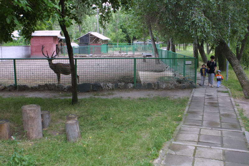 La Constanța se deschide prima grădină zoo concepută special pentru copii