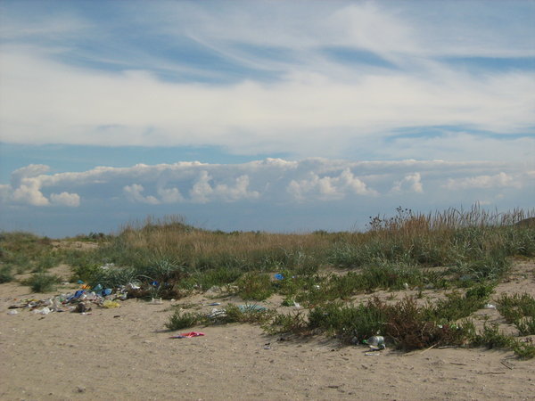 Acțiune de ecologizare a plajei din Eforie Sud