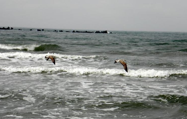 Vremea se menține mohorâtă în Dobrogea