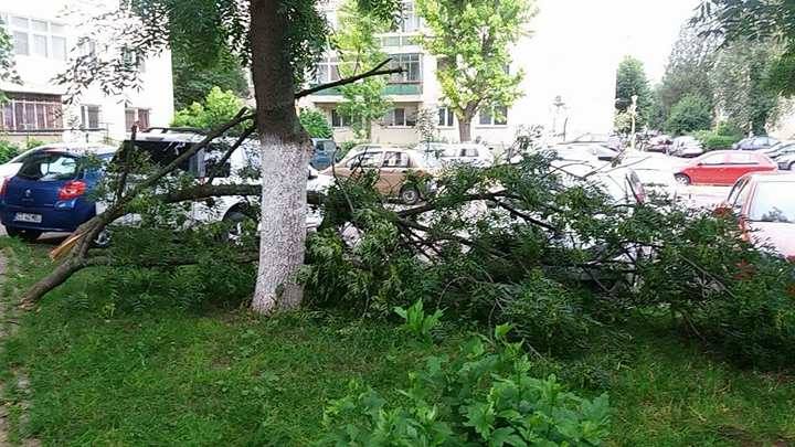 FOTO/Furtuna a făcut ravagii şi în Constanţa