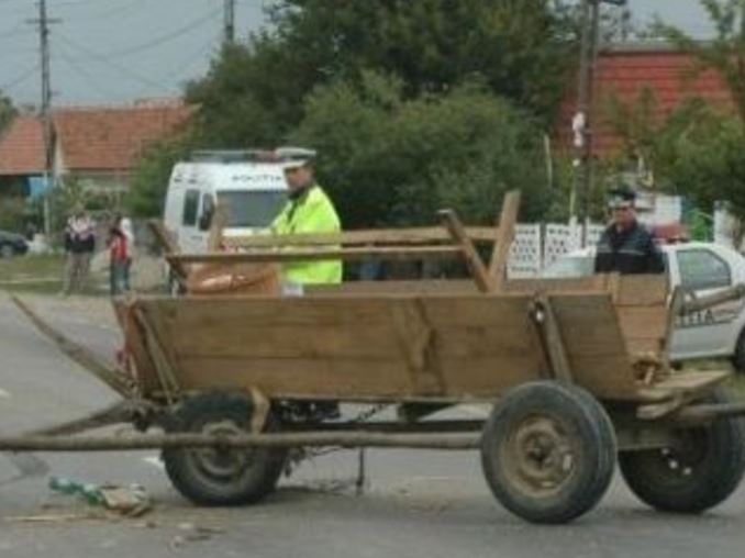TULCEA: PIETON accidentat de un atelaj hipo condus de un MINOR BĂUT