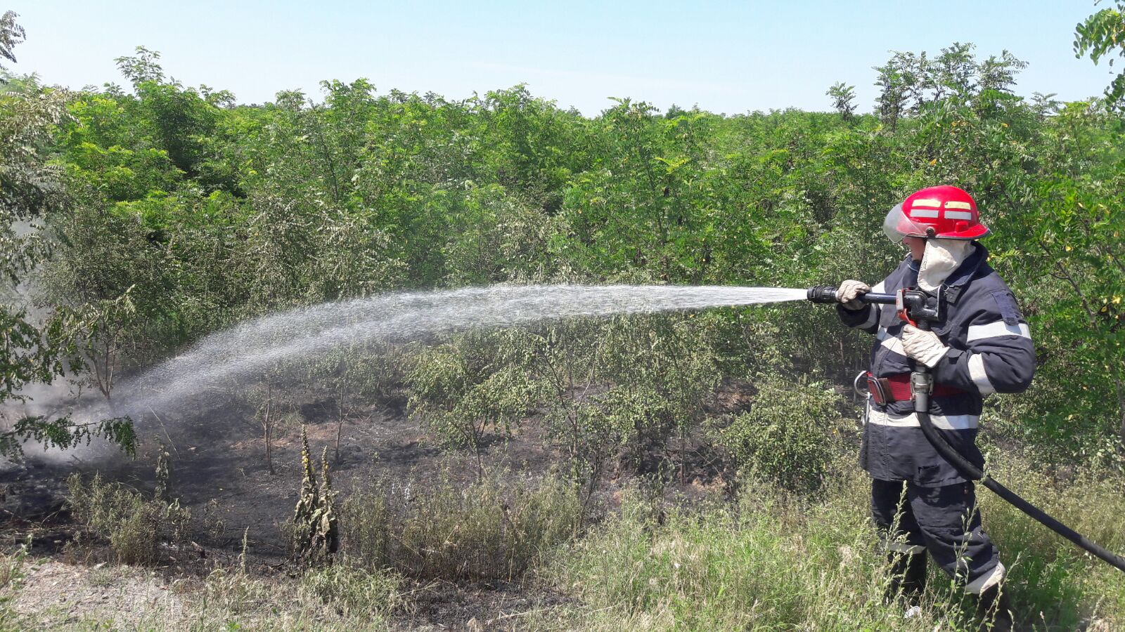 TULCEA: Pompierii au evitat extinderea unui incendiu la o pădure de salcâmi