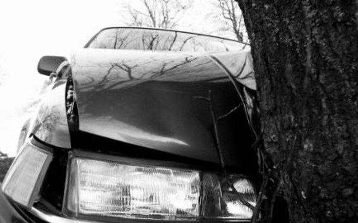 Accident în județul TULCEA: O șoferiță a intrat cu mașina într-un copac