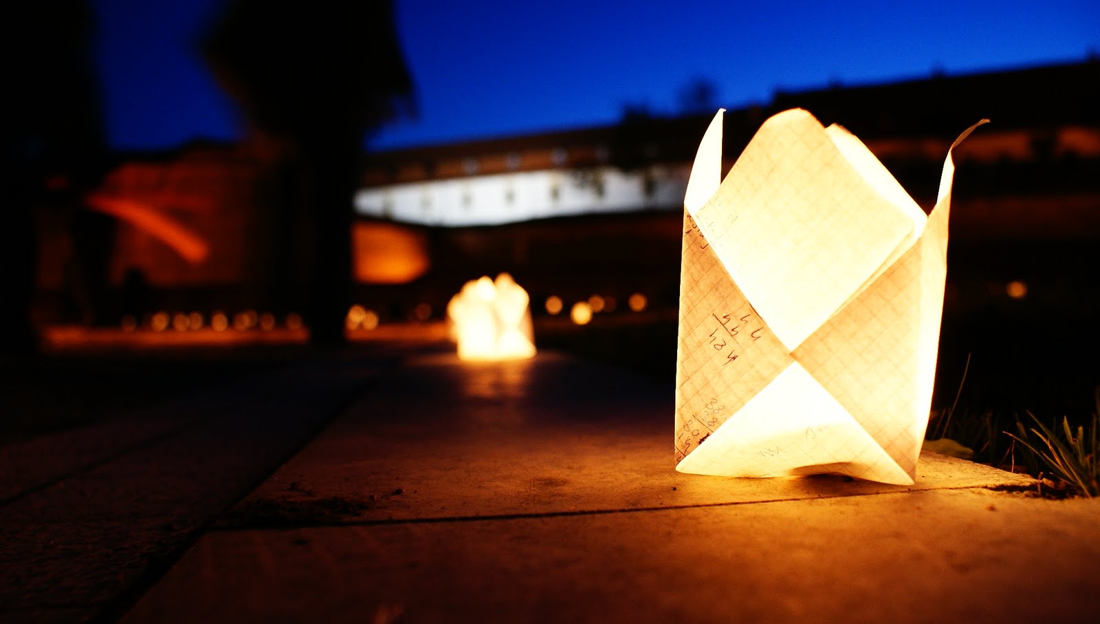 Tulcenii sunt așteptați la Festivalul Luminii