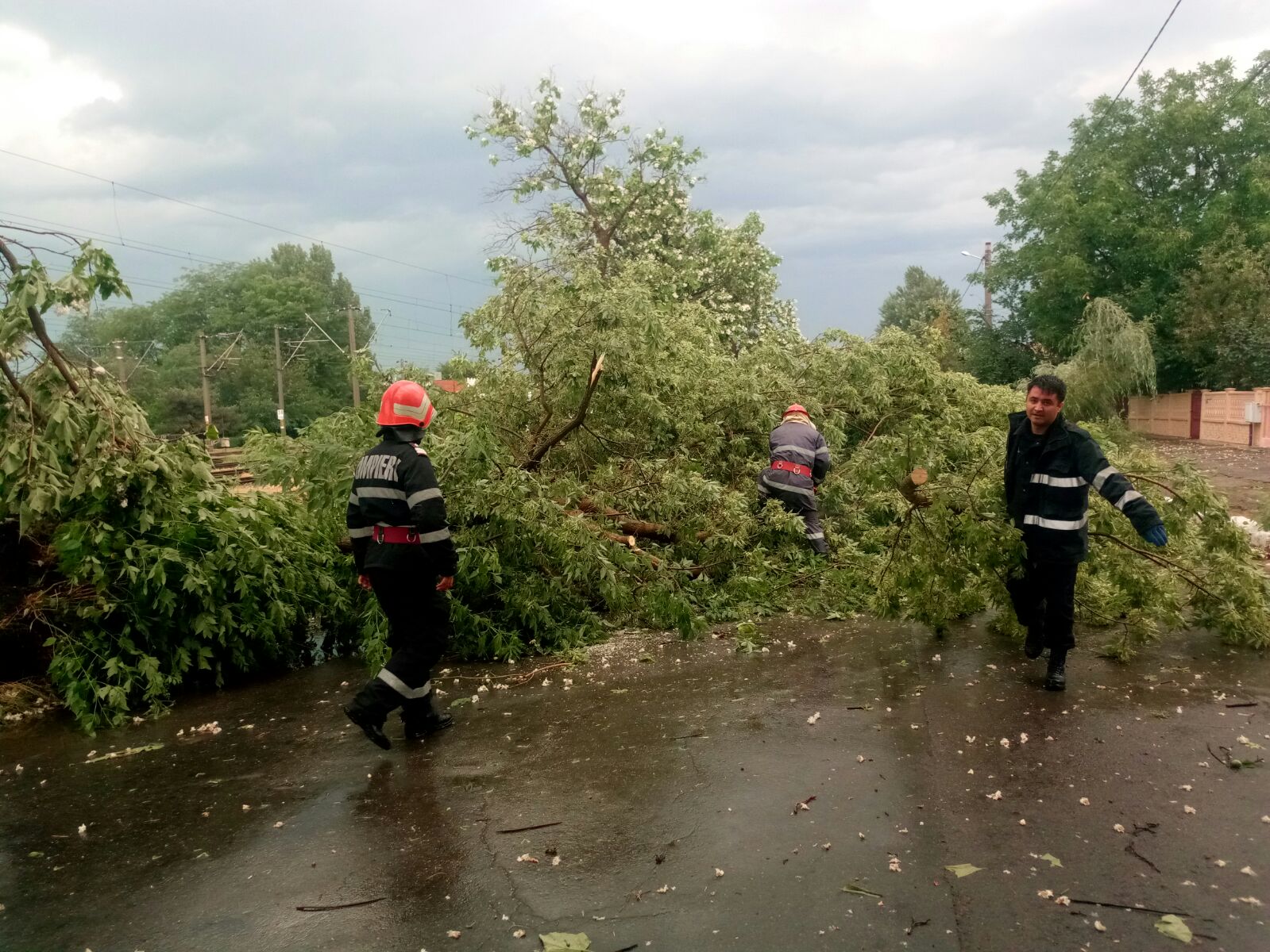 FOTO/IALOMIȚA: Furtuna a făcut ravagii! Acoperișuri smulse, copaci și stâlpi de electricitate rupți, circulație blocată