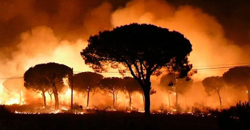 SPANIA: Incendiu puternic într-un parc natural. Peste 1.500 de persoane au fost evacuate