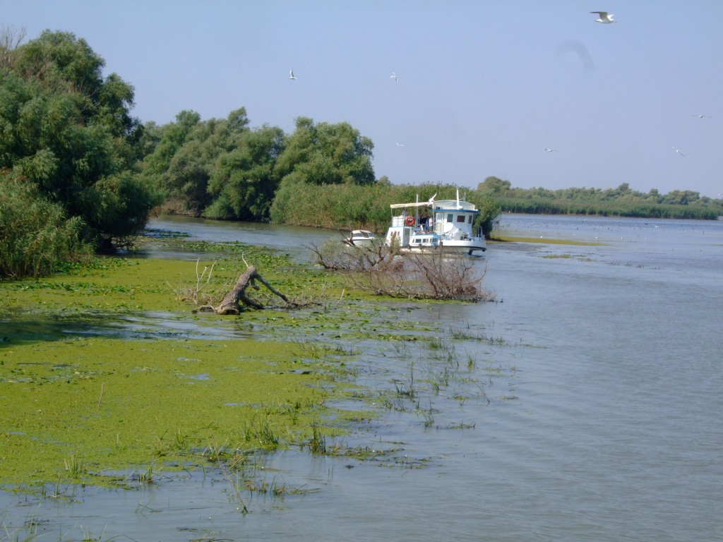 Canicula ocolește litoralul și Delta Dunării