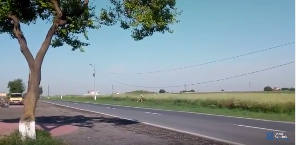VIDEO: Județul CONSTANȚA – Doza de nesimțire. Moloz aruncat pe câmp