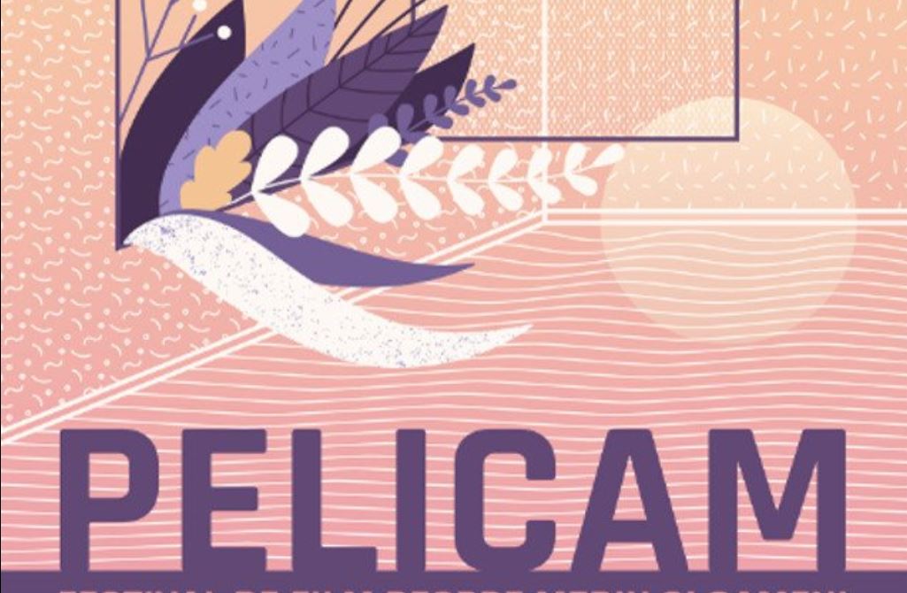 TULCEA: Festivalul Internațional de Film Pelicam