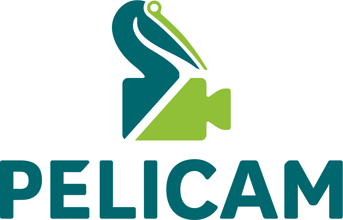 TULCEA: Festivalul Pelicam va începe cu proiecții pentru copii. Programul complet
