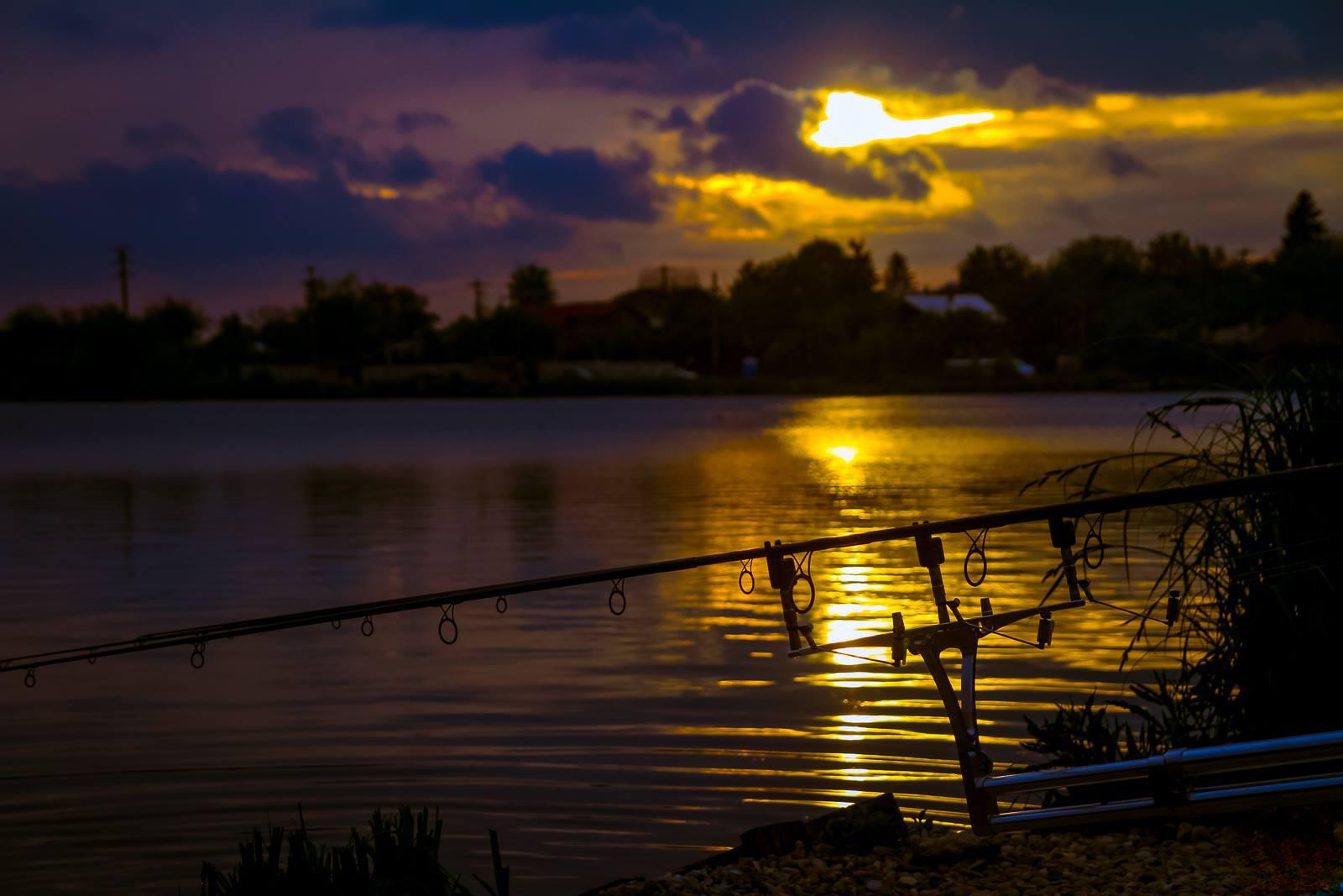 Bărbatul din PRAHOVA, pierdut în Delta Dunării, a fost găsit de pompieri