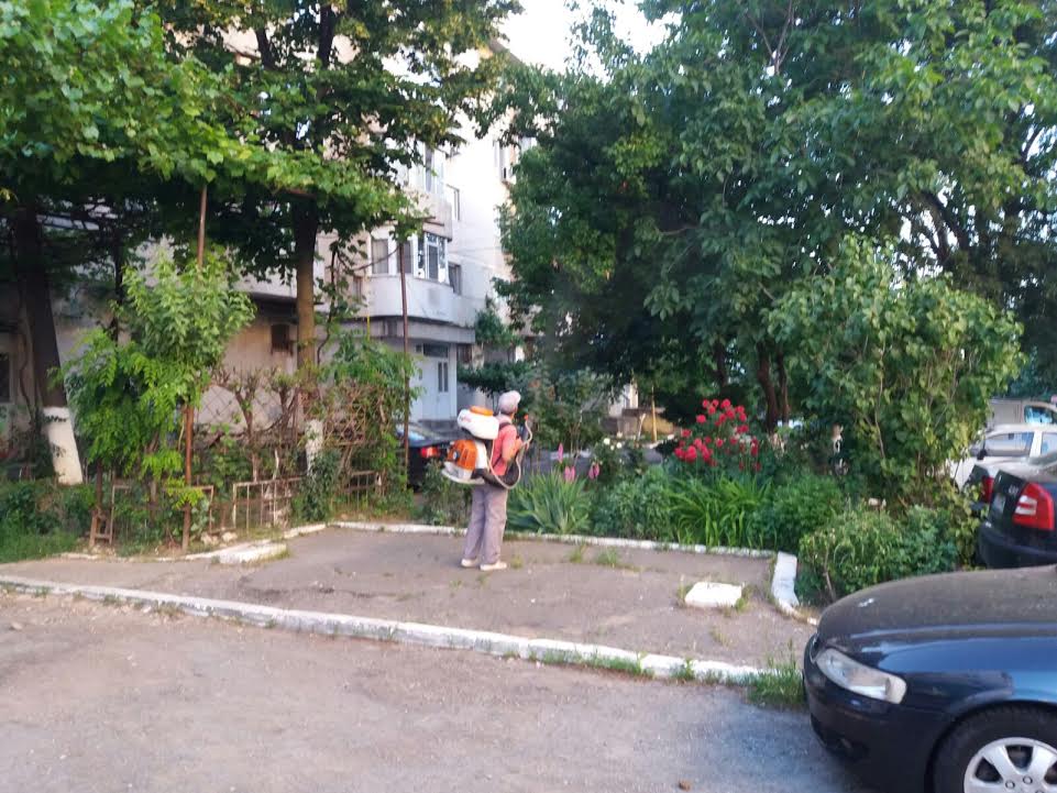 FOTO: Acţiuni de deratizare şi dezinsecţie în municipiul Constanța şi staţiunea Mamaia
