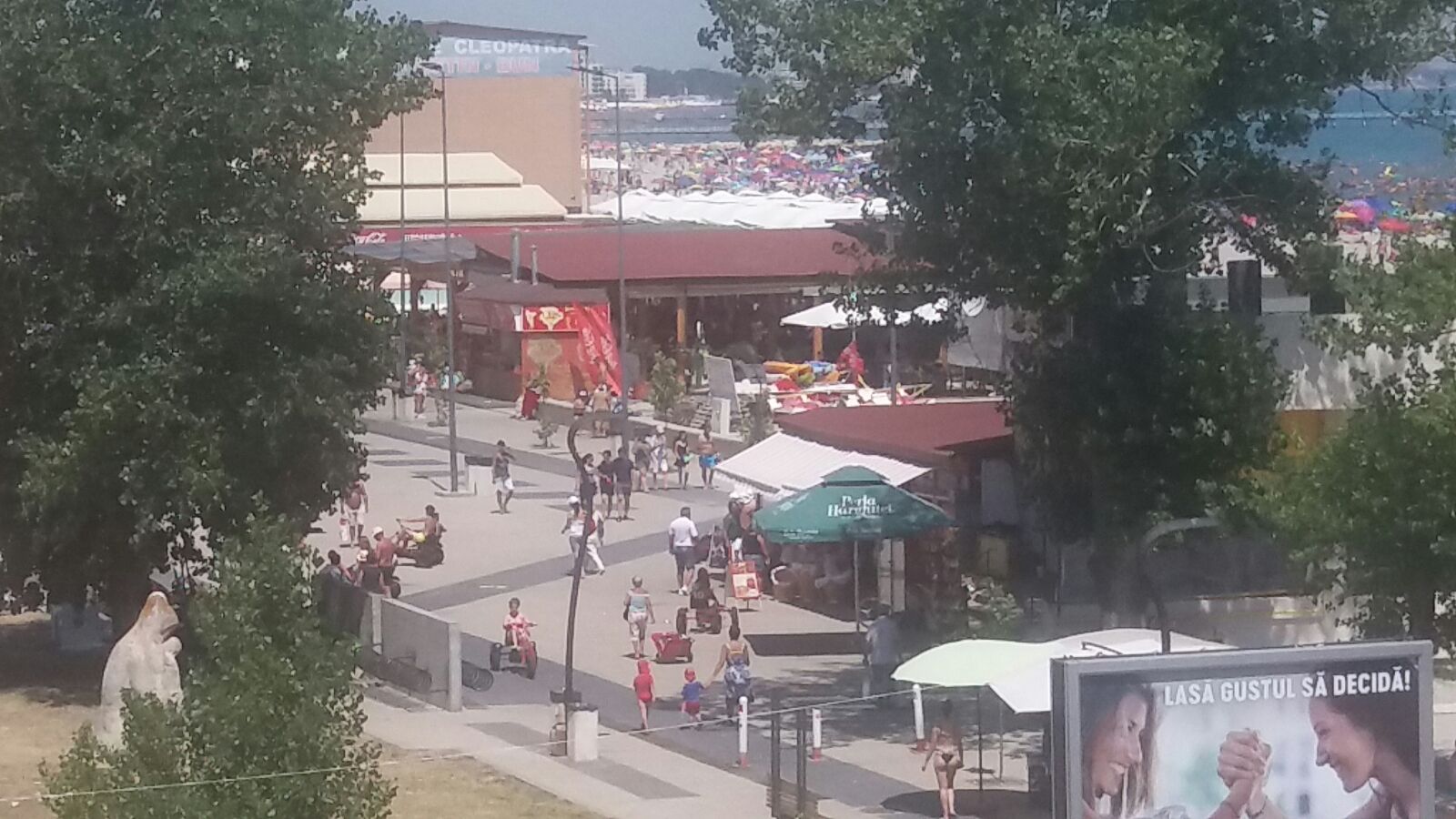 Vreme caldă în Dobrogea