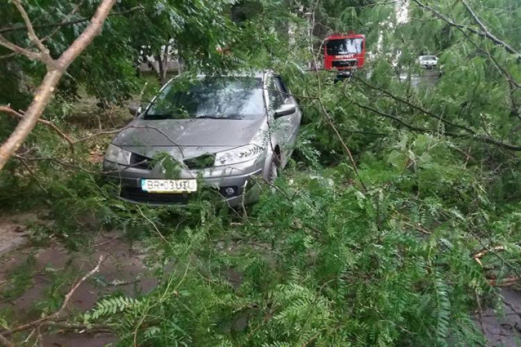 BRĂILA/VIDEO: O femeie a murit după ce a fost lovită de un copac smuls de vânt