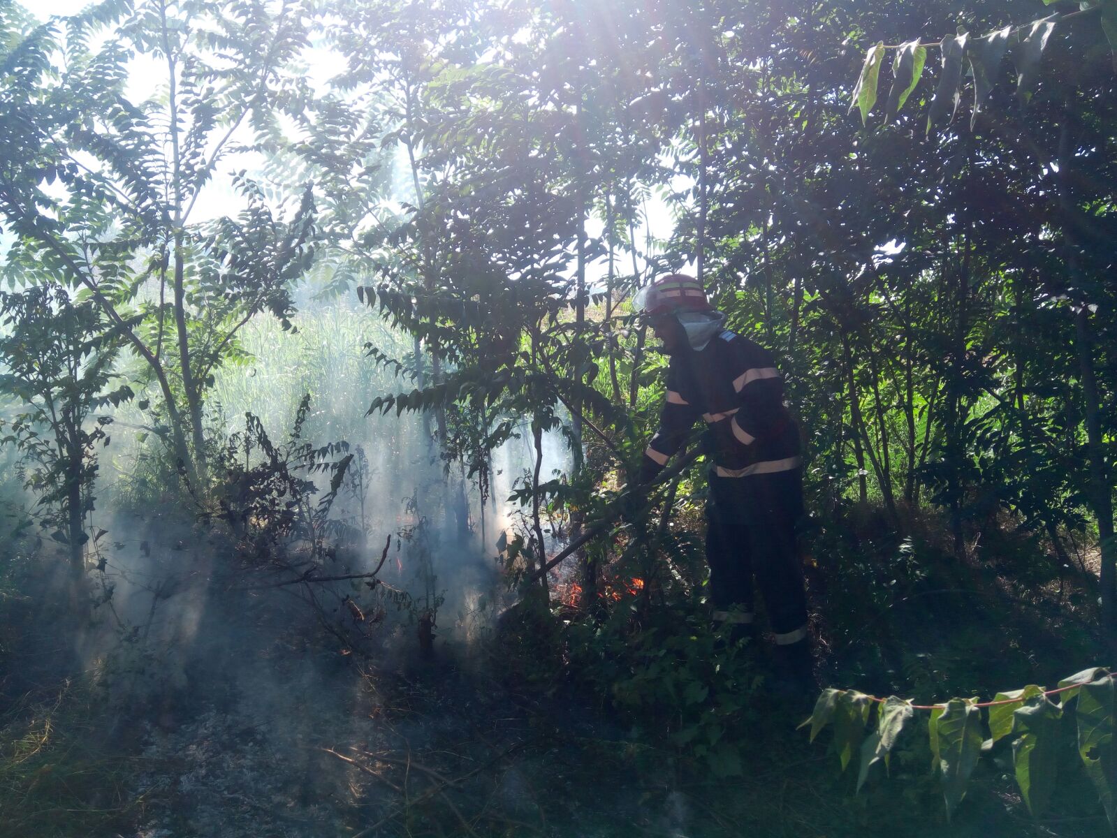 FOTO – Județul TULCEA: Incendiu de vegetație uscată. Există PERICOLUL ca focul să se extindă la casele din apropiere