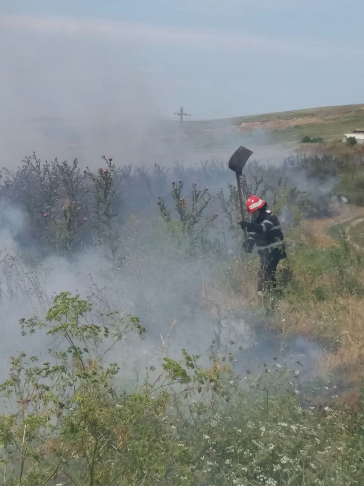 FOTO/VIDEO: Un incendiu de vegetație amenință să se extindă la mai multe gospodării din BABADAG