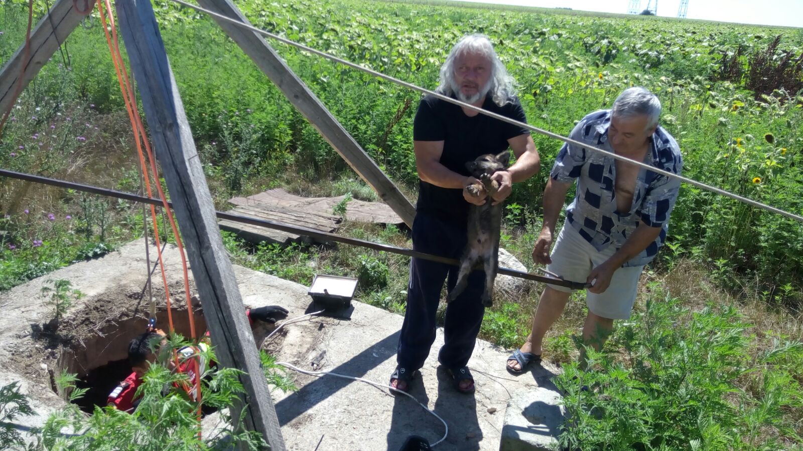 FOTO/CONSTANȚA – Intervenție dramatică a pompierilor în zona Industrială pentru salvarea unui cățel