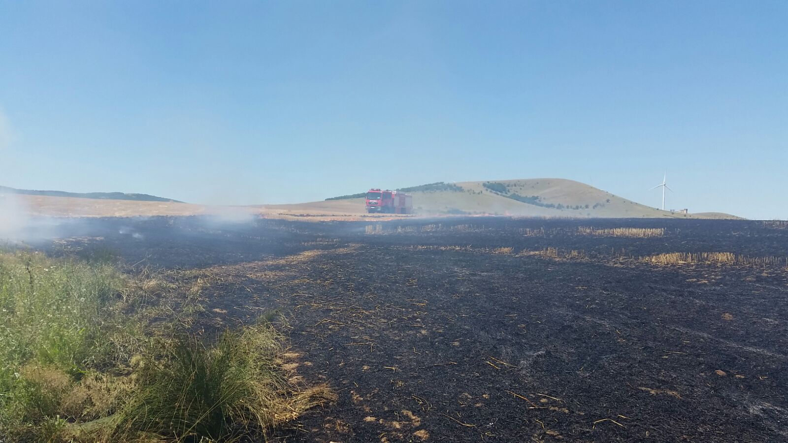 FOTO: Incendiu de vegetație uscată într-o localitate din județul TULCEA