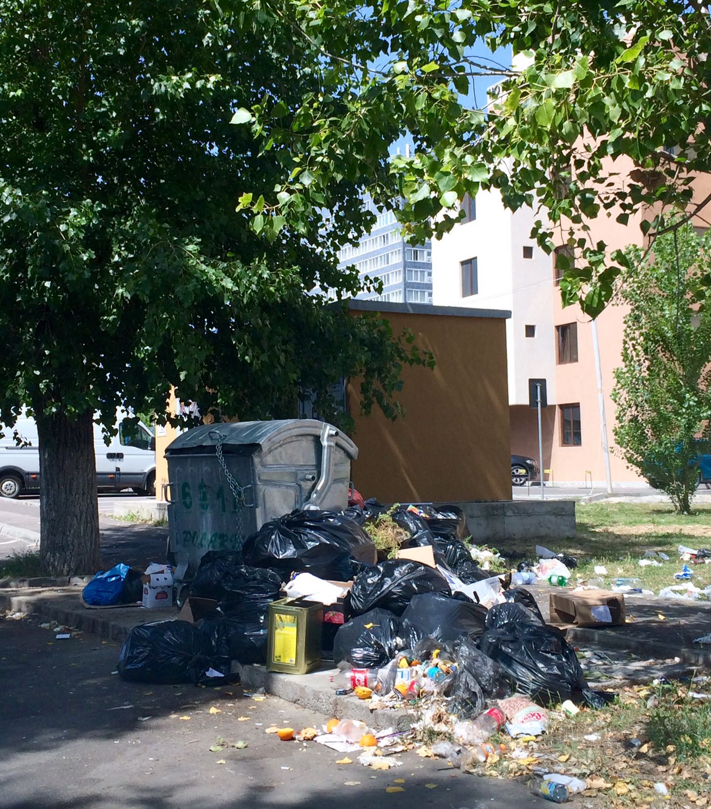 FOTO/Problemă care trenează de ani de zile: Se „revarsă” ghenele unui hotel din MAMAIA