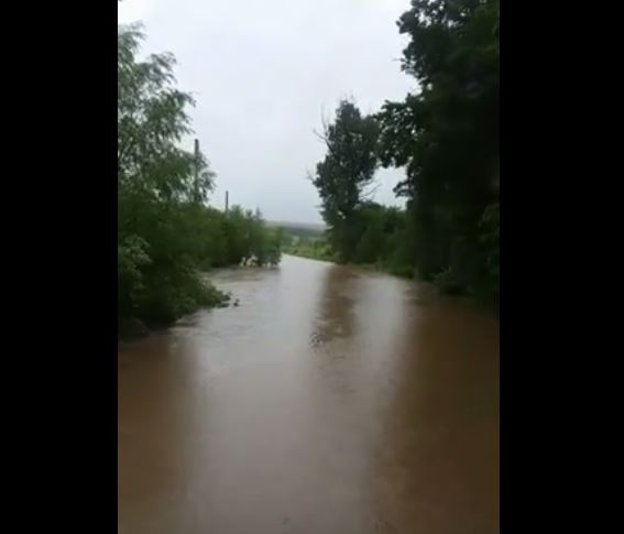 VIDEO: Șosea transformată în râu în județul TULCEA