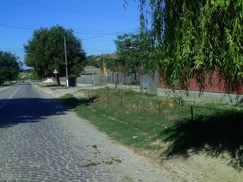 În plină CANICULĂ: Locuitorii din BĂNEASA au rămas fără apă potabilă la robinete