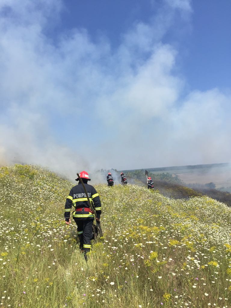 Incendiu de vegetație uscată în județul TULCEA