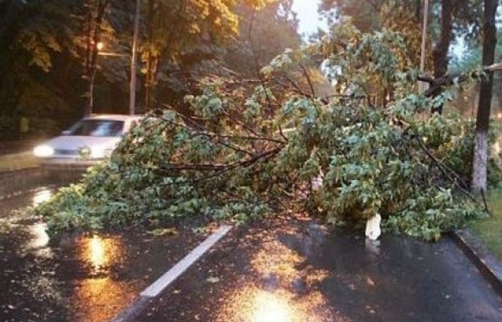 Fenomene meteorologice extreme în CONSTANȚA: Numerele de telefon utile în situațiile de urgență