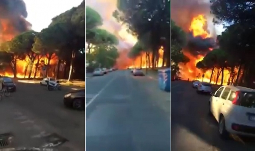 VIDEO: Român arestat în ITALIA după ce ar fi provocat mai multe incendii