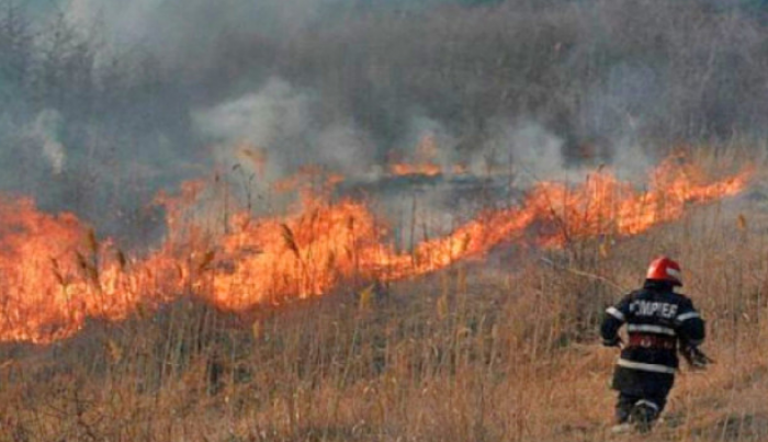 Constanța: Incendiu de vegetație în parcul Tăbăcărie