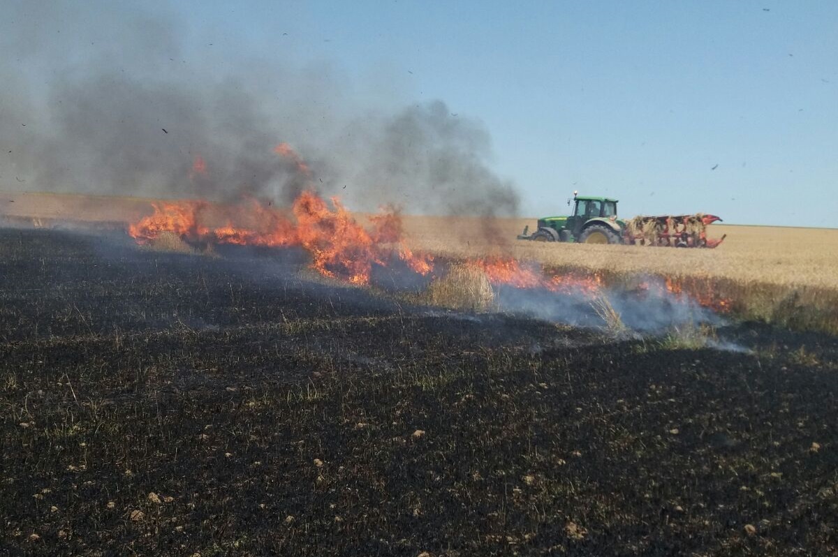 UPDATE – FOTO: ARDE un lan de grâu dintr-o localitate din județul TULCEA