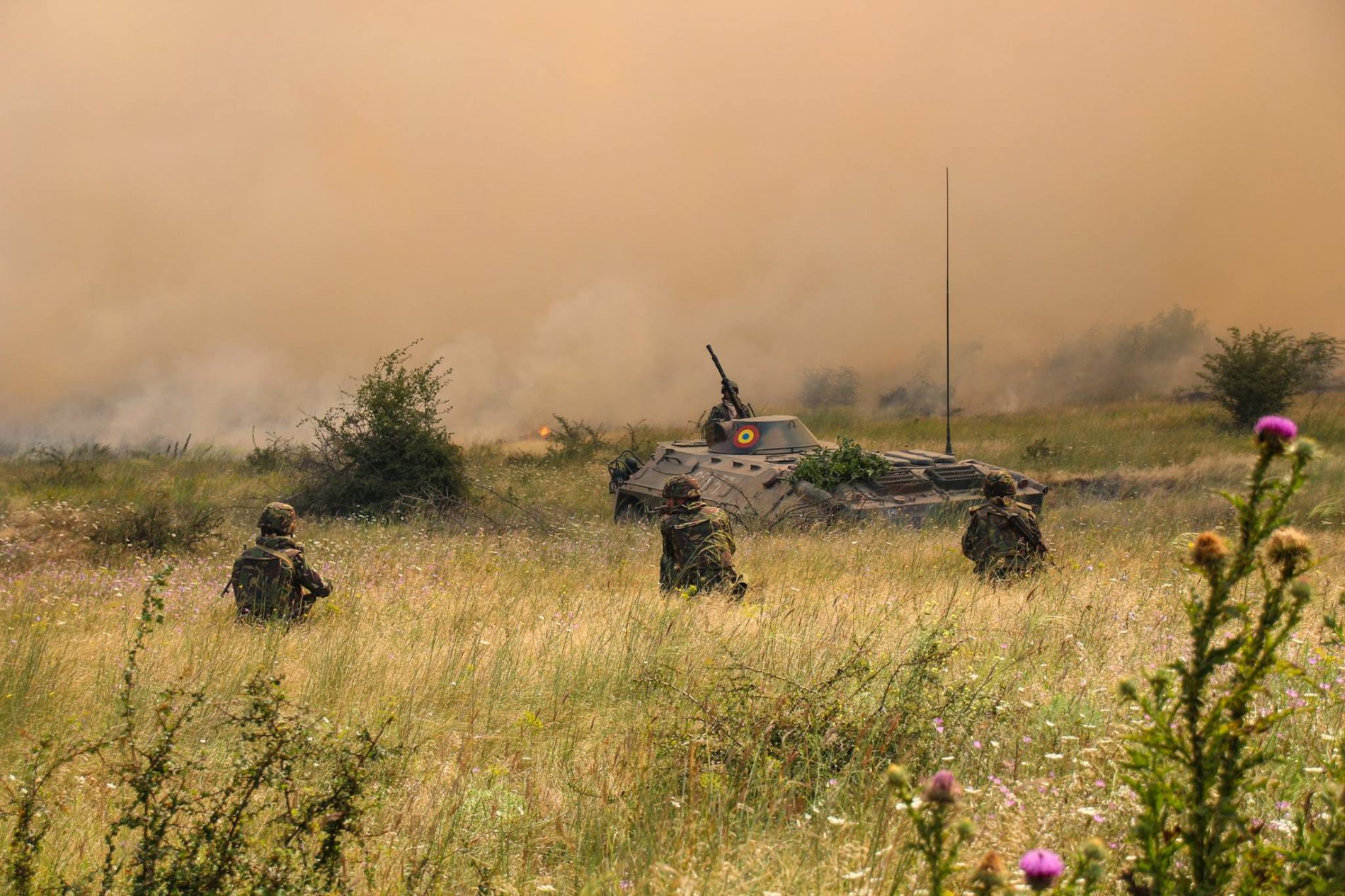 TULCEA: Exercițiu cu infanteriști marini în poligonul Babadag, în cadrul „Saber Guardian 17“