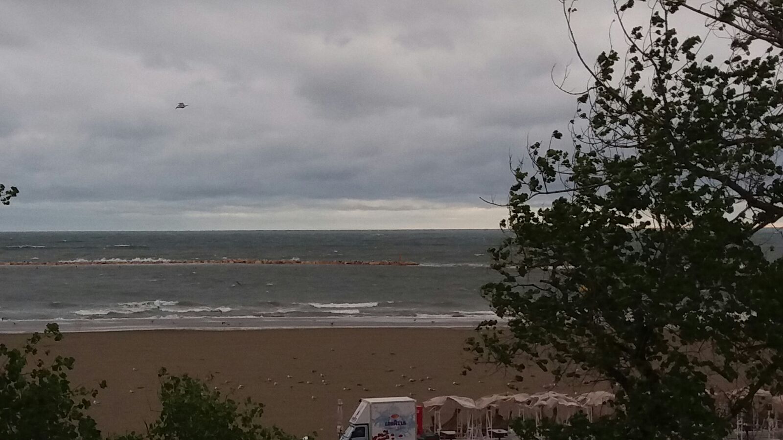 Vremea se îndreaptă, însă vântul suflă cu putere în DOBROGEA