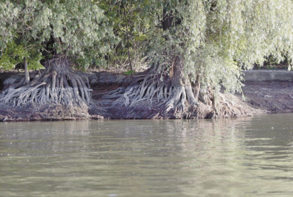 Scade nivelul Dunării. Delta riscă să devină inaccesibilă pentru turişti, în următoarele zile