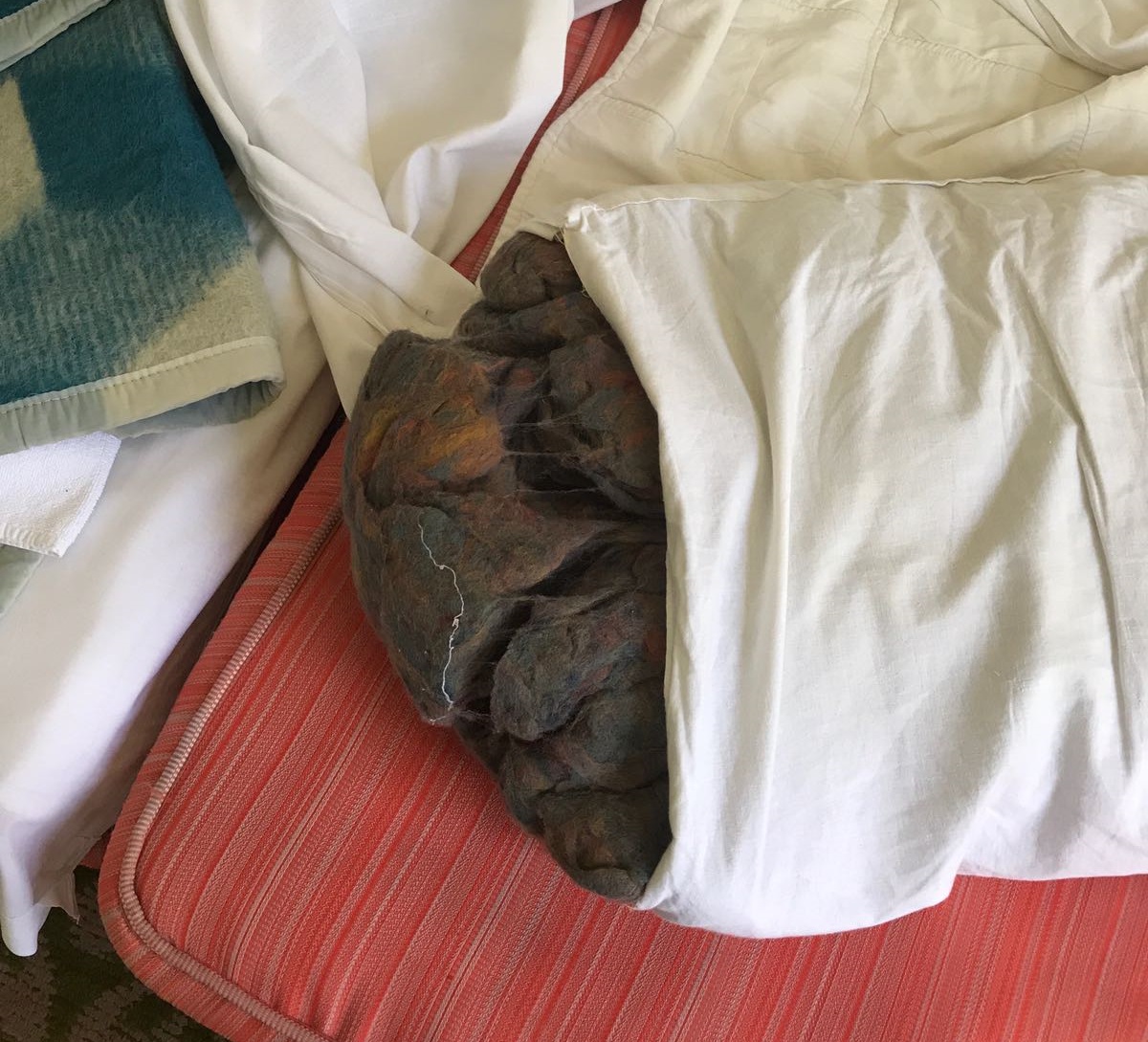 VIDEO/FOTO: INCREDIBIL! Condiții MIZERE în TREI hoteluri din Eforie Nord. Sănătatea turiștilor a fost pusă în PERICOL