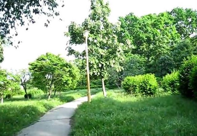 Este suficient SPAŢIU VERDE pentru constănțeni?