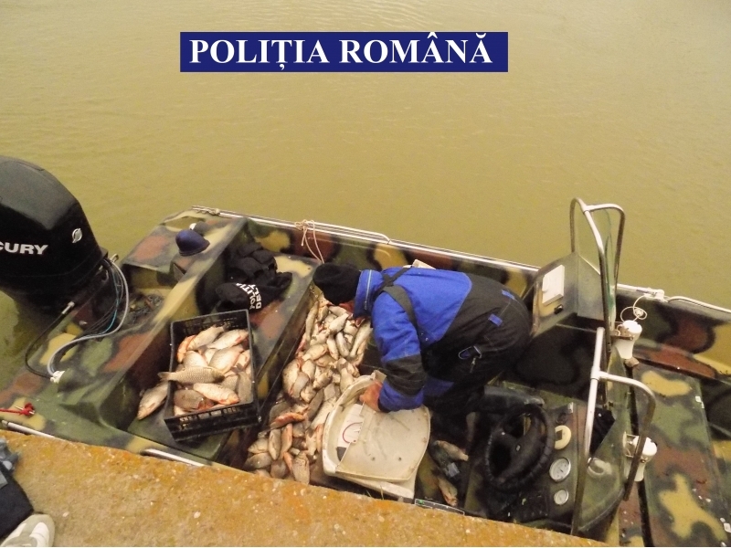 Pescărie din TULCEA: Tone de icre și pește fără documente de proveniență și angajați „la negru”