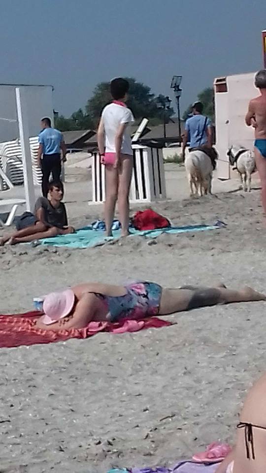 Ponei confiscat pe plaja din MAMAIA de la un adolescent din HÂRȘOVA