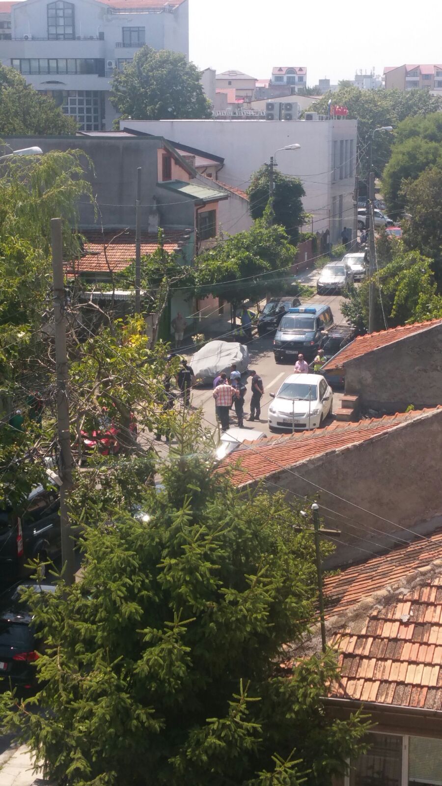 UPDATE/ CONSTANȚA: Mobilizare impresionantă de forțe pentru căutarea unui…PORC