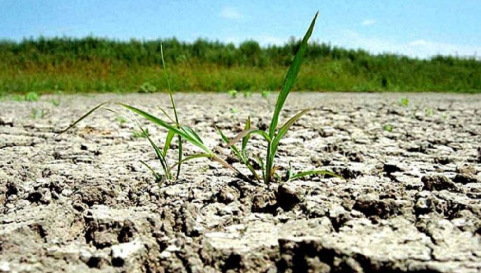 Săptămâna viitoare se anunță SECETĂ în estul şi sud-estul DOBROGEI