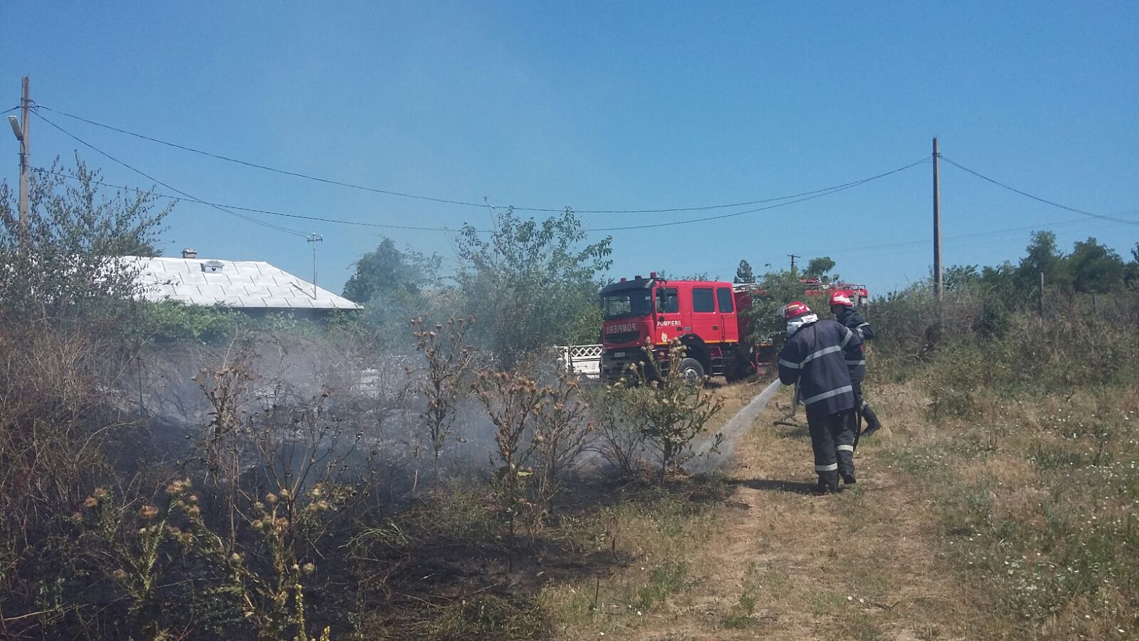 ARDE vegetația uscată din ENISALA