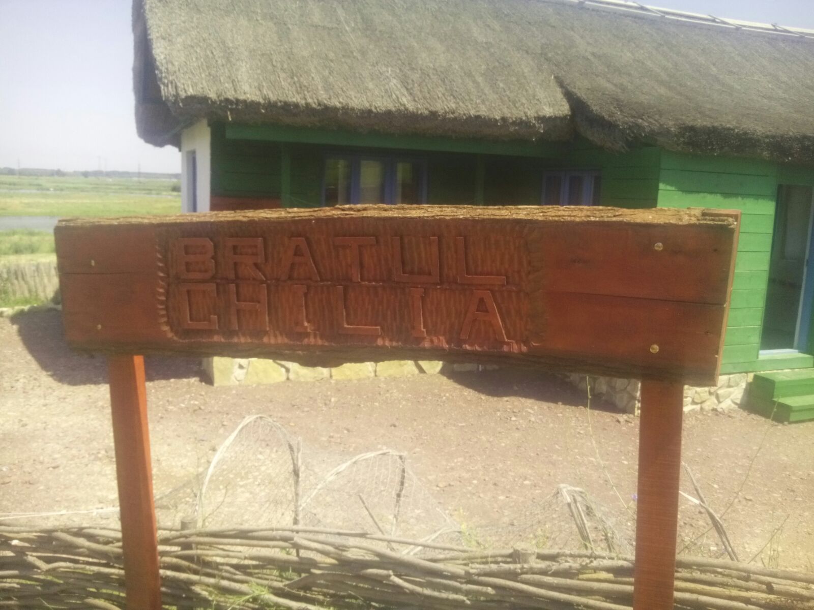 FOTO: O zi în Delta Dunării