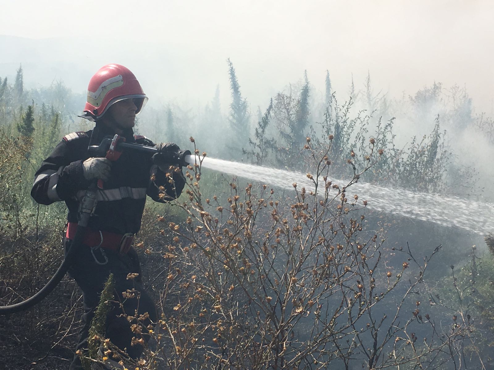 FOTO: Incendiu puternic într-o localitate din județul TULCEA  